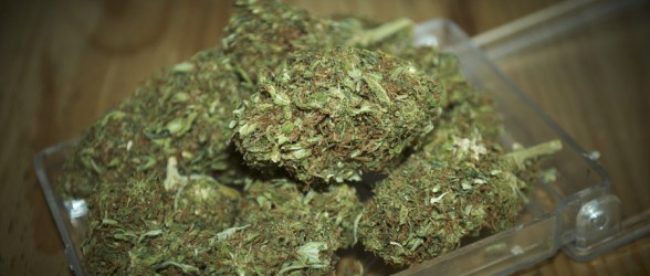 Lucera, nascondeva 20kg di marijuana nel garage: arrestato 57enne