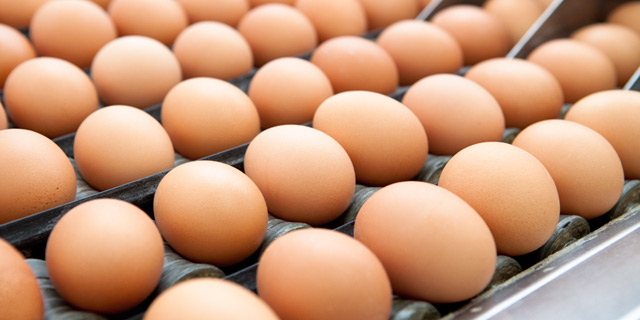 Foggia, sequestrate 40 mila uova che presentavano una scadenza posticipata