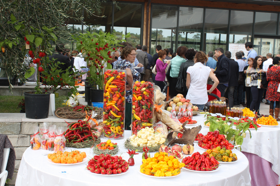 Orsara di Puglia, Appuntamento con la Daunia: obiettivo Expo 2015