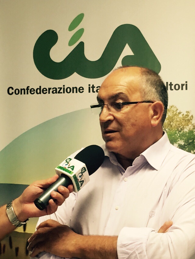 Cia Foggia, Ferrandino: “Le industrie schiacciano i produttori di pomodoro”