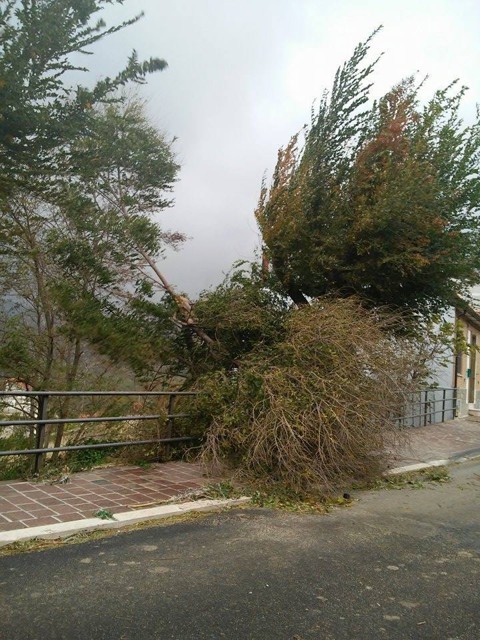 Allerta Meteo: venti forti e probabili acquazzoni