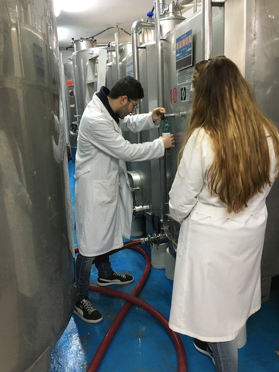 Giovani in agricoltura: Foggia laboratorio all’avanguardia