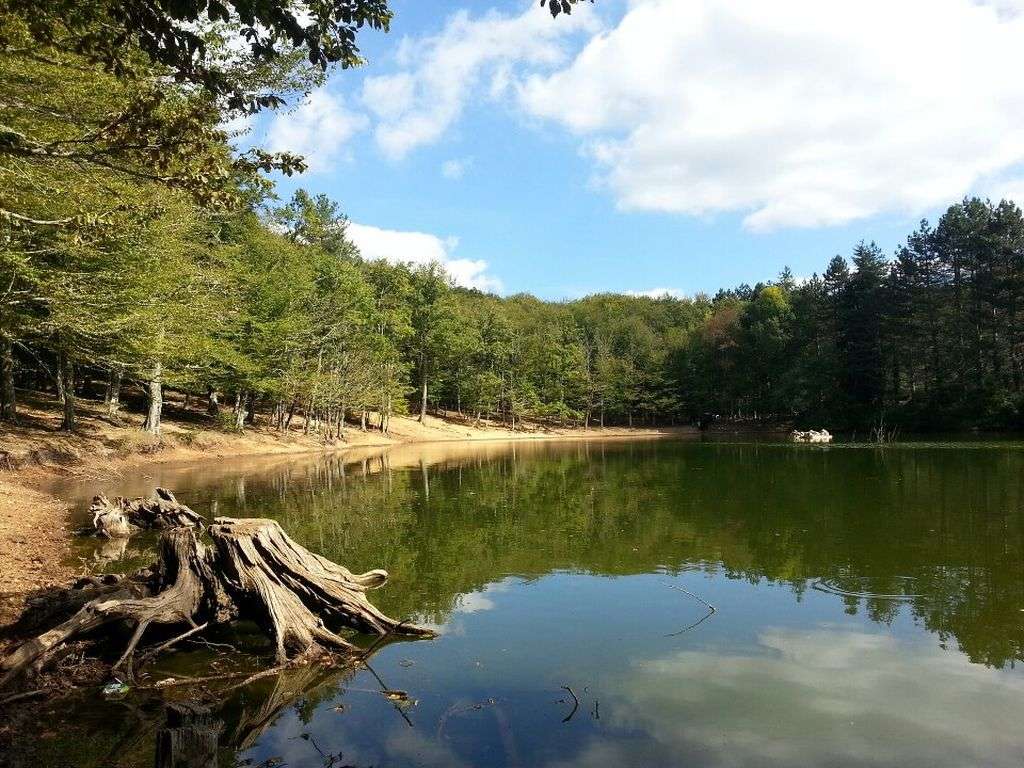 La “Foresta Umbra”