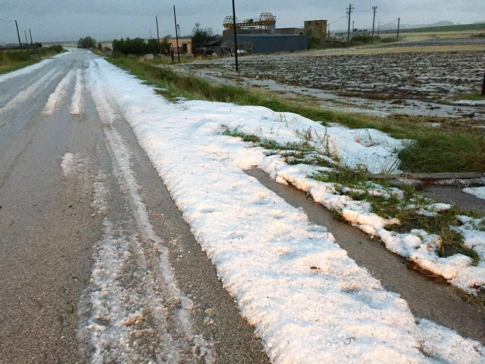 Maltempo, aziende agricole in ginocchio, Cia Puglia: “Agire subito”