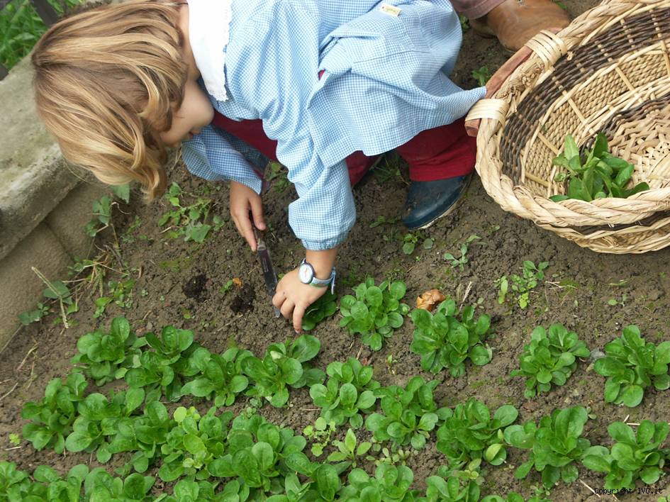 A Orsara la biodiversità che cura ambiente e persone