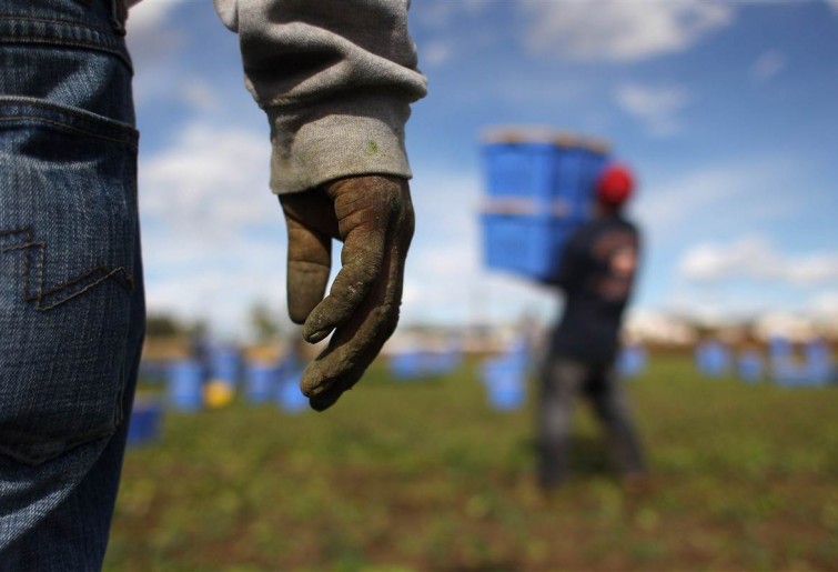 Sfruttamento del lavoro a Foggia, caso “capolarato”