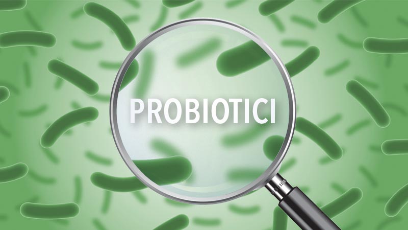 Conosciamo i probiotici, preziosi alleati del nostro intestino