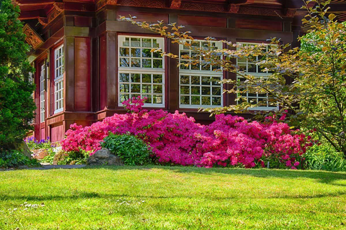 Come abbellire il giardino di casa: qualche consiglio utile